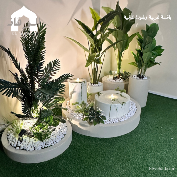 ⁦ركن الحلقة⁩ - الصورة ⁦2⁩