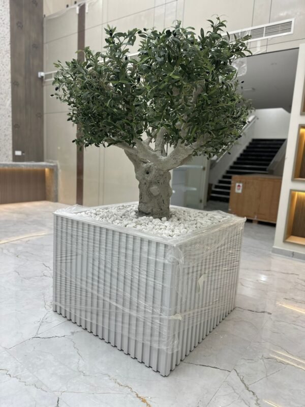 شجرة زيتون اصطناعية